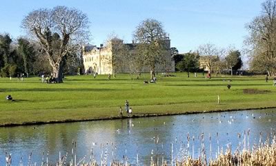 Lydiard Park Dog Walking